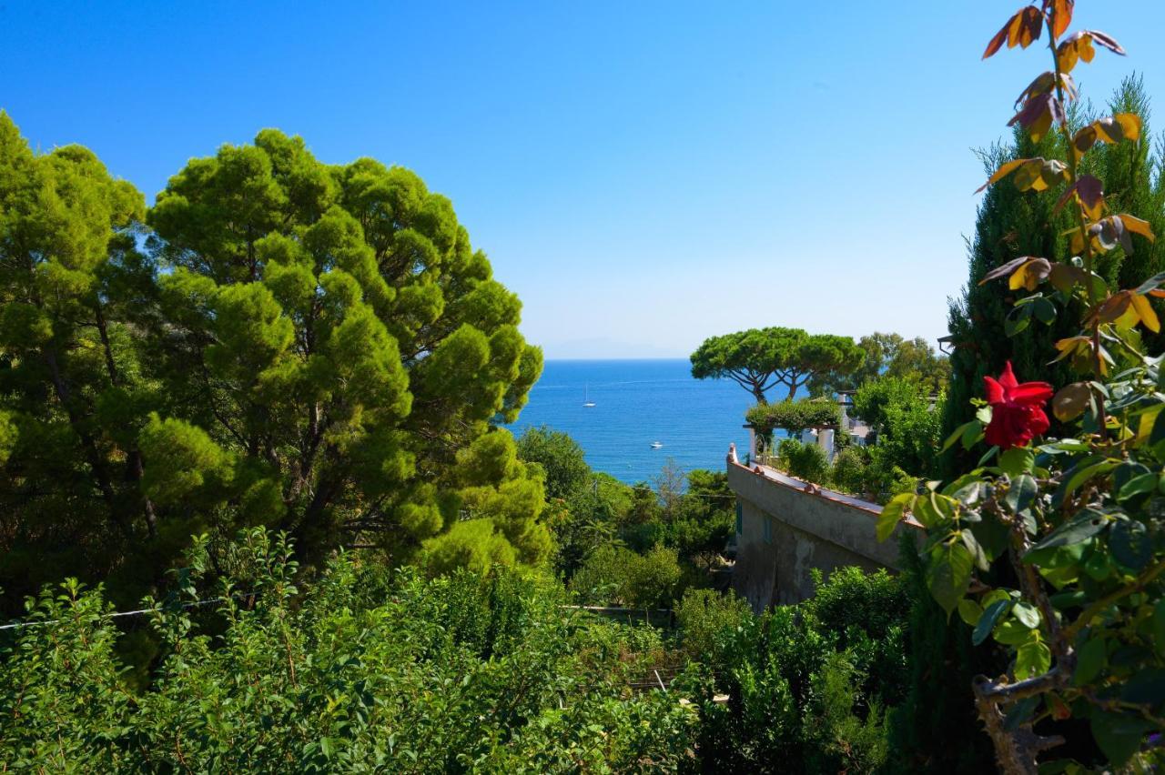 Hotel Parco Cartaromana Ischia Kültér fotó